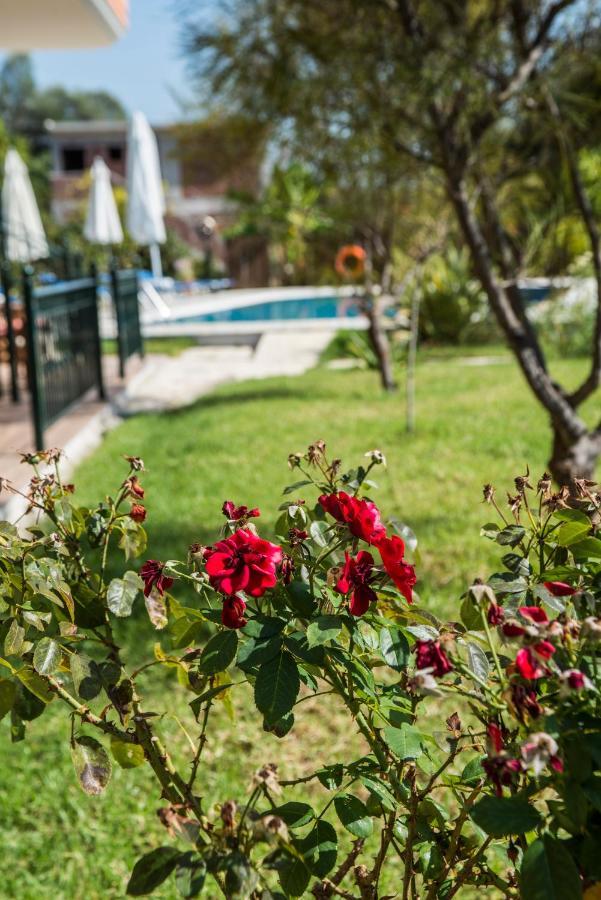 Aparthotel Dimas V House Parga Exterior foto